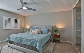 Cozy bedroom with carpet