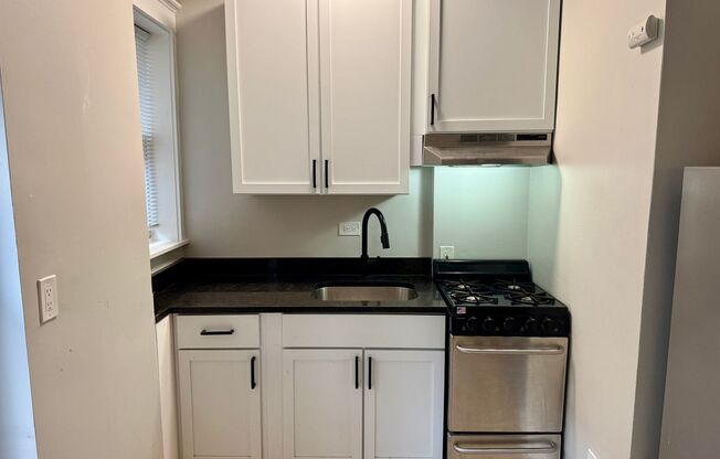 Studio, 1 bath, 300 sqft, $1,095, Unit #210