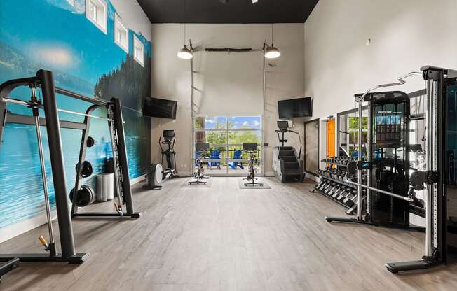 A gym with a variety of equipment including a squat rack, a bench press, and a rowing machine.