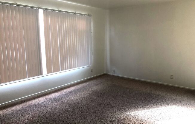 Coming Soon! Updated Spacious unit, freshly painted throughout, with updated flooring in the kitchen