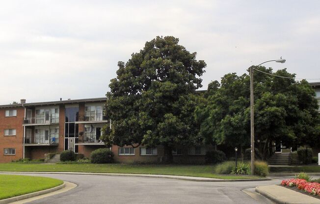 1 bed, 1 bath, 500 sqft, $999