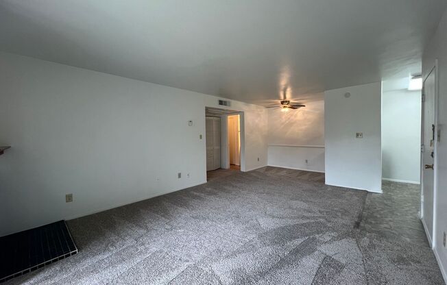 1 bed, 1 bath, 660 sqft, $1,000, Unit 1204