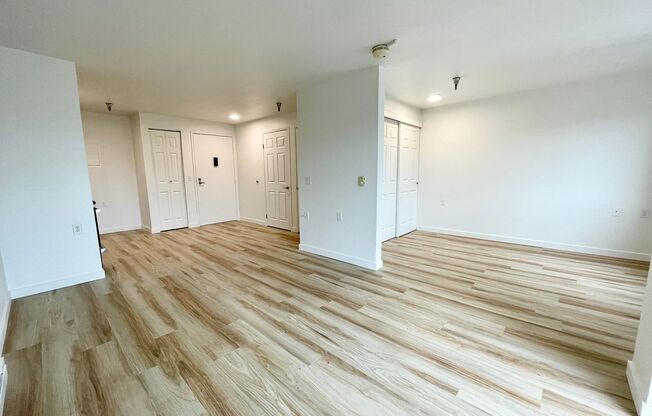 Studio, 1 bath, 480 sqft, $1,450, Unit 316