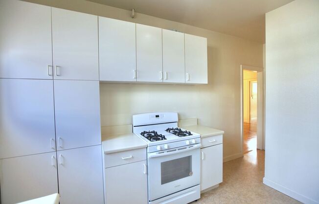 Beautiful, spacious 1-bdr with new windows, great wood floors, and lots of storage space