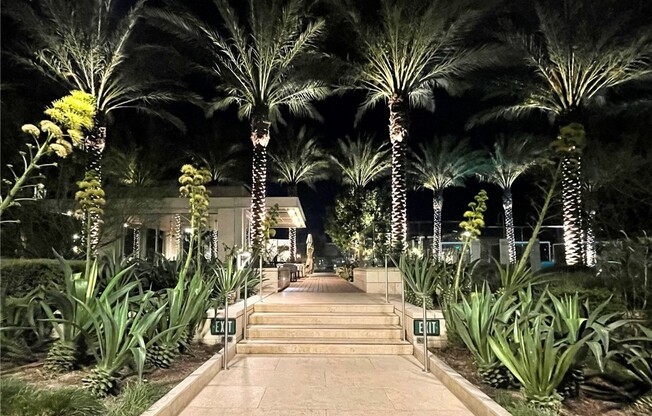 Studio, 1 bath, 491 sqft, $3,200, Unit 1123