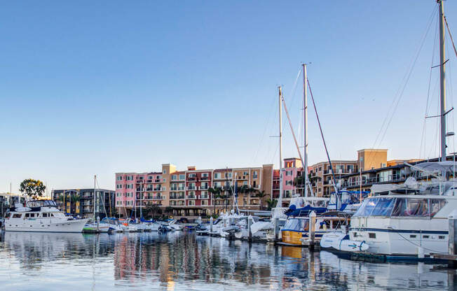 a group of boats docked in a marina with buildings in the background  at Marina Harbor, California, 90292