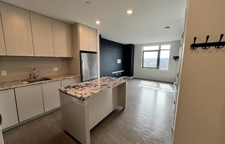 1 bed, 1 bath, 561 sqft, $3,200, Unit 907