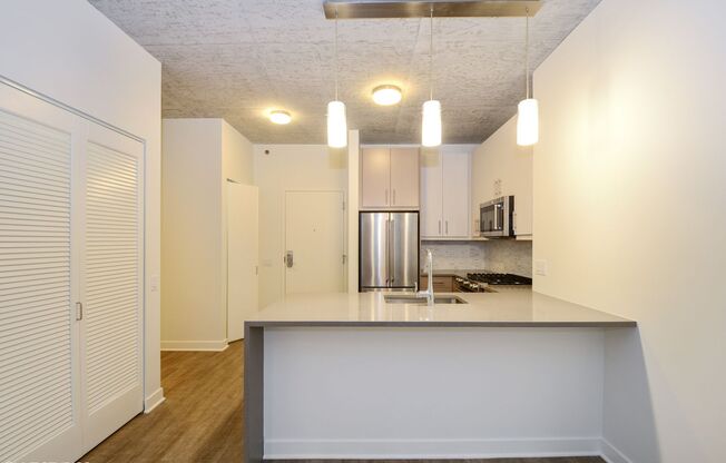 1 bed, 1 bath, 738 sqft, $2,750, Unit 204