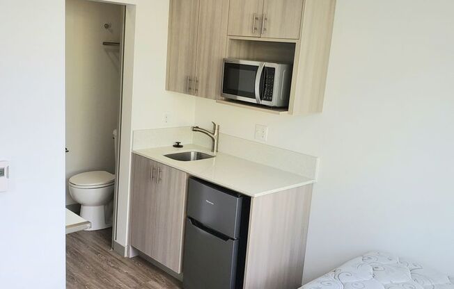 Studio, 1 bath, 167 sqft, $1,049, Unit D310