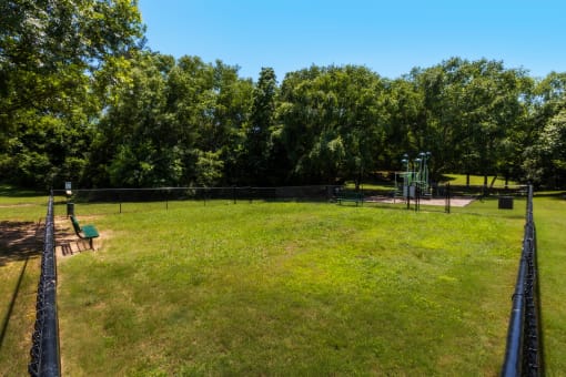 a park with a playground and trees