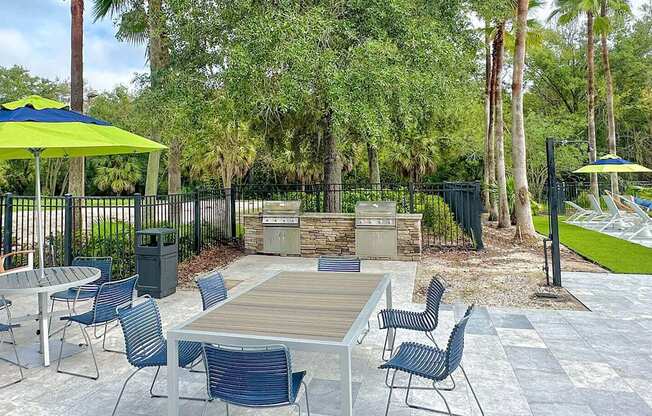 Outdoor entertainment with gas grills