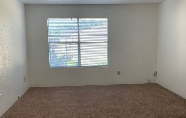 1 bed, 1 bath, 583 sqft, $790, Unit 0502