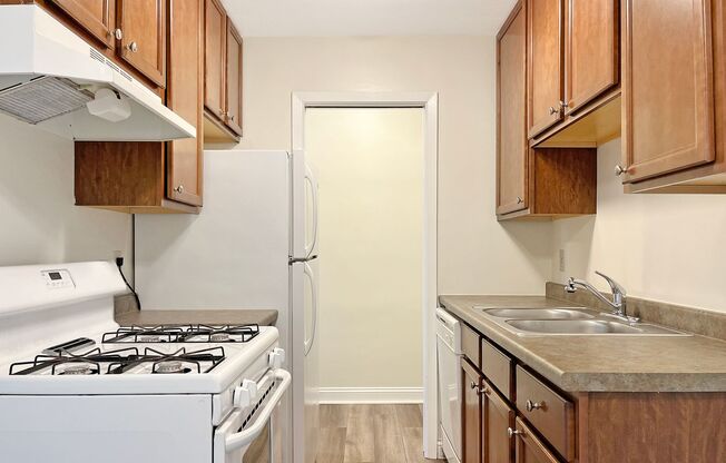 1 bed, 1 bath, 650 sqft, $1,125, Unit 3050206