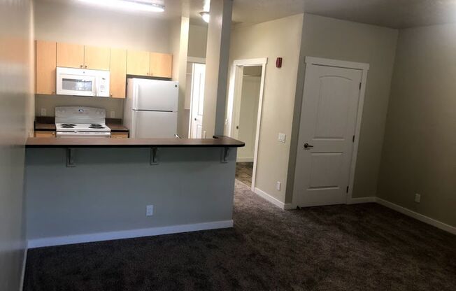 1 bed, 1 bath, 555 sqft, $995, Unit 307-203