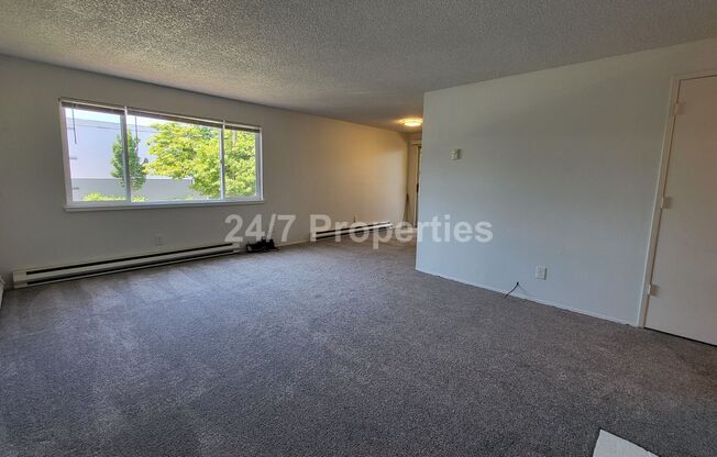 2024-1620MF