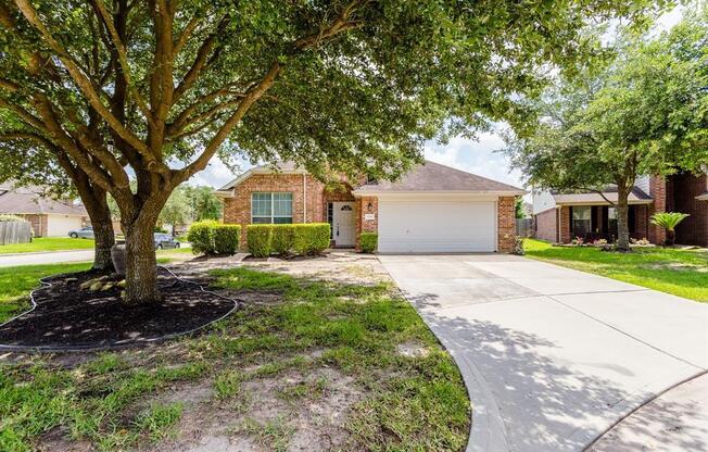 8710 INDIAN MAPLE DR