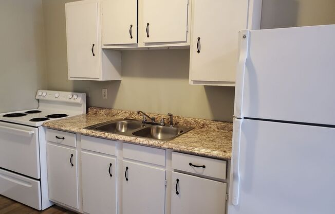 1 bed, 1 bath, $1,050, Unit Apt. 1