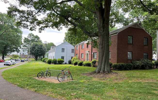 a couple of bikes parked in a grassy area next to a tree