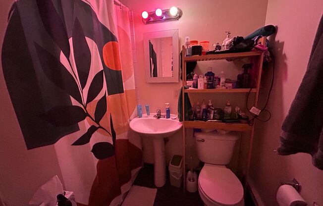 Studio, 1 bath, $750, Unit 312