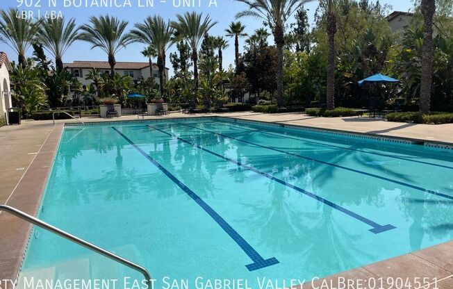 902 N BOTANICA LN