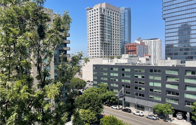 1 bed, 1 bath, 754 sqft, $2,300, Unit 902