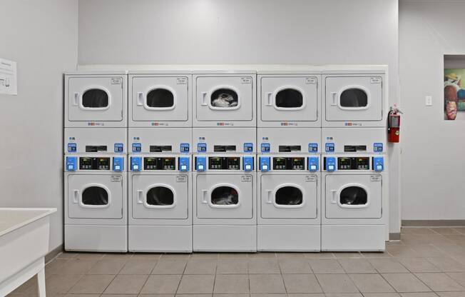 a row of washers and dryers in a laundry room