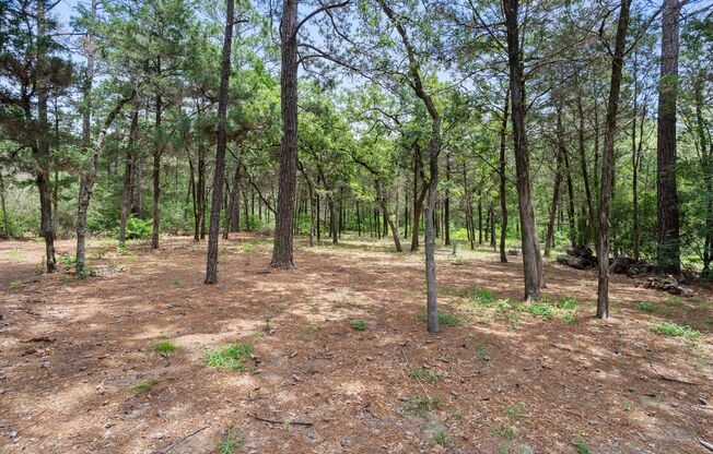 1014 Fm 1441, Bastrop, Texas 78602
