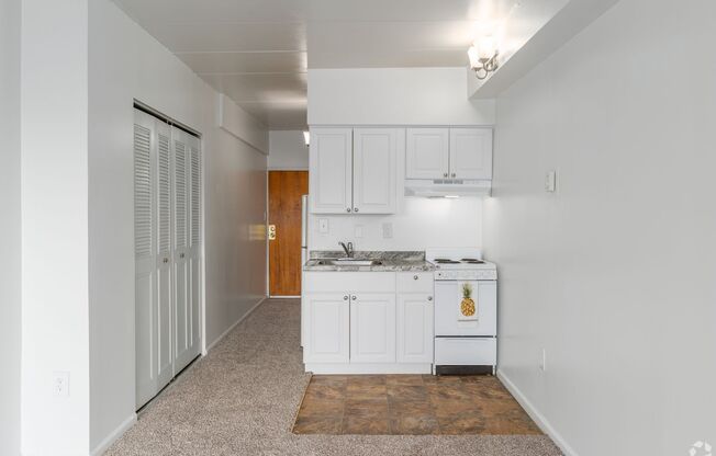 Studio, 1 bath, 310 sqft, $1,049, Unit 405A