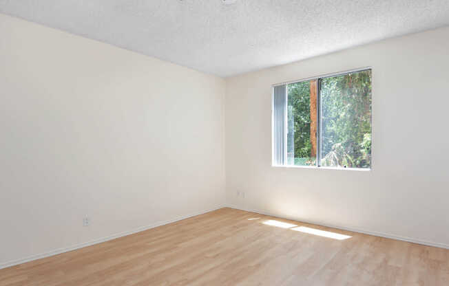 Bedroom with Hard Surface Flooring