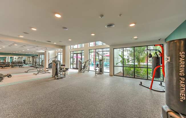 the gym at the preserve at ballantyne commons at Pinnacle Apartments, Jacksonville, FL, 32256