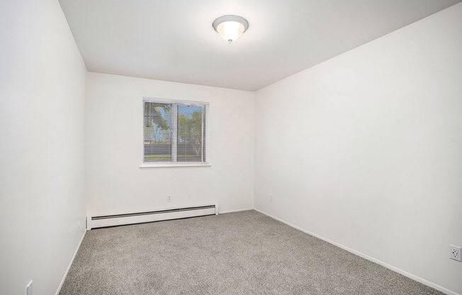 spacious bedroom with carpet and a window