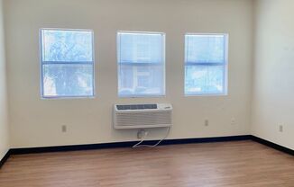 Studio, 1 bath, 400 sqft, $830, Unit 203