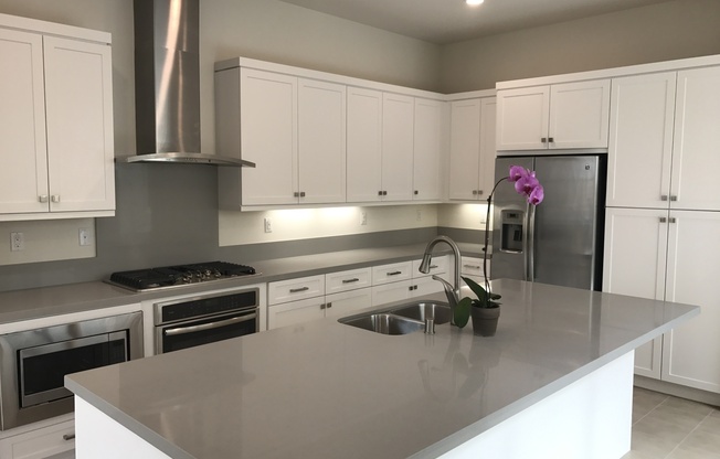 Move Fast — Smart, Modern Living at 117 Terrapin, Irvine