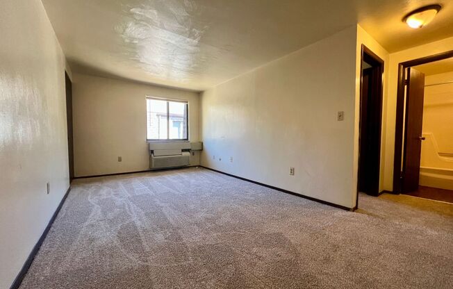 Wonderful 1BR in Lovely Location! Beautiful Exposed Brick Accent Walls Throughout Unit!