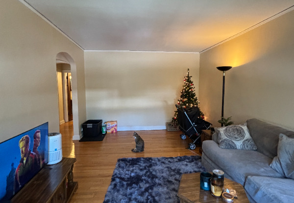 1429 MARTHA WASHINGTON DR