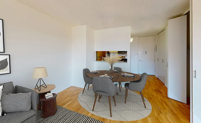 Studio, 1 bath, $4,000, Unit 15S