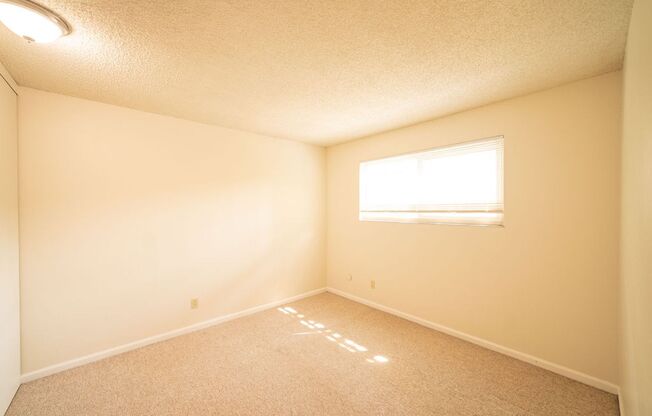 1509 Hearst