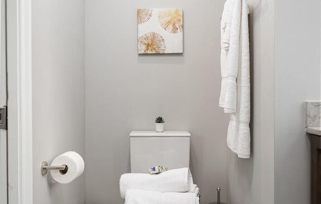 Upgraded Bathroom Fixtures at Park Heights by the Lake Apartments, Chicago, 60649