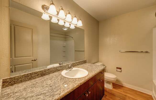 Bathroom Vanity with Granite Countertops and Wood Cabinets