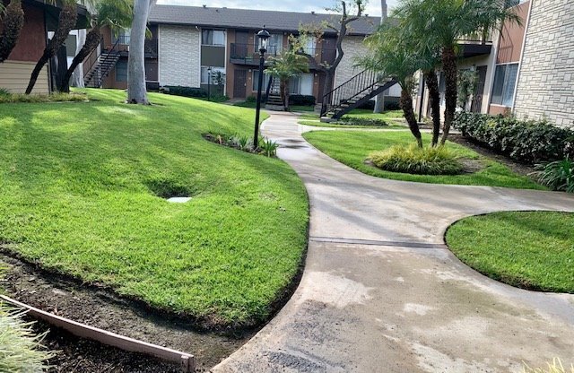 110 Peppertree Apartments