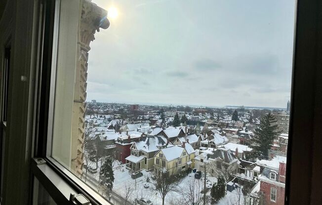 Studio, 1 bath, $900, Unit 743