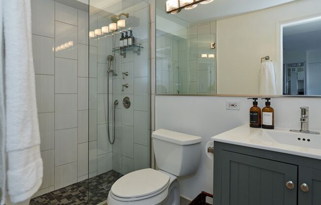 1 bed, 1 bath, 700 sqft, $2,250, Unit 418-0707