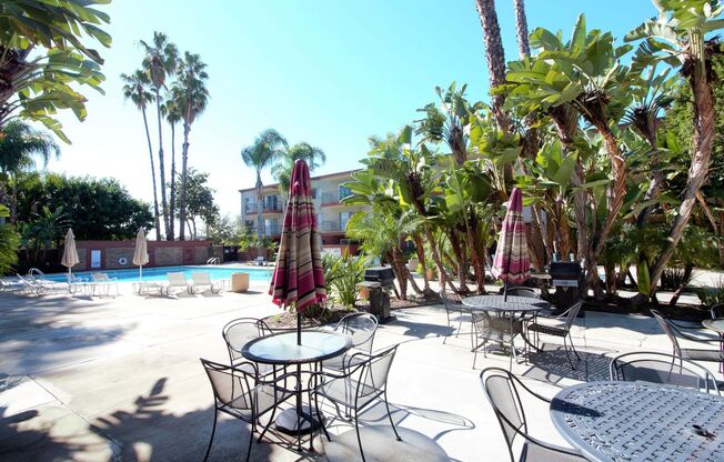 1 bed, 1 bath, $2,000, Unit C24