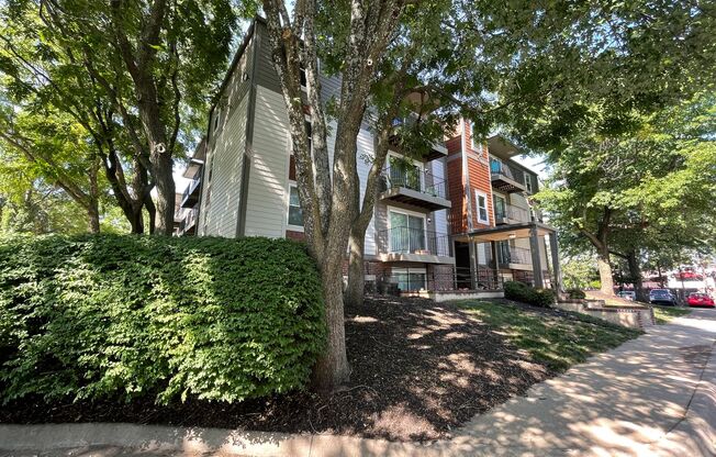 1 bed, 1 bath, 784 sqft, $1,175, Unit 7600209