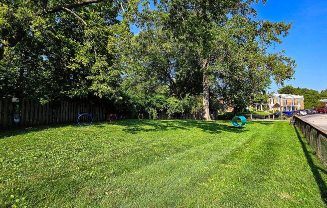 a yard with grass and trees and a fence