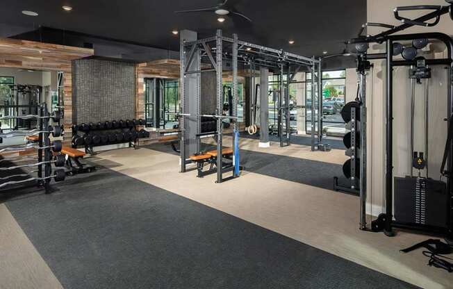 Fitness Studio with Cardio and Strength Machines