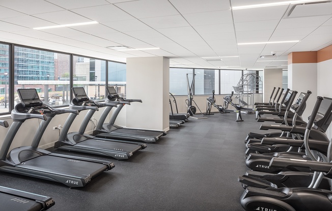 a gym with rows of cardio equipment and large windows