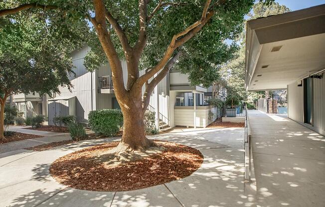 a house with trees in the background