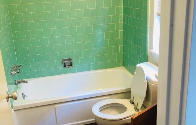 Studio, 1 bath, 260 sqft, $1,550, Unit 6