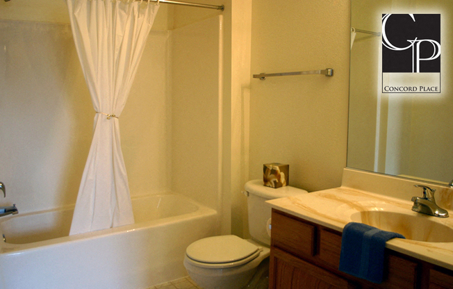 Gallery Photo 6